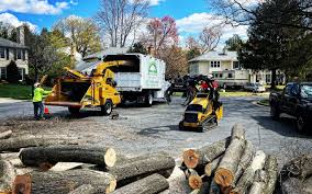 Best Aeration Services  in Bee Cave, TX