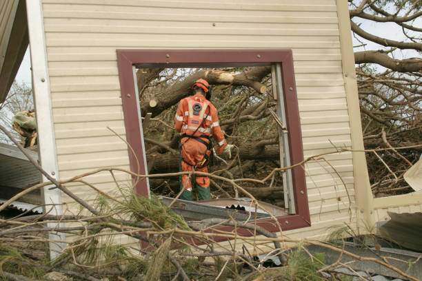 Best Tree Risk Assessment  in Bee Cave, TX